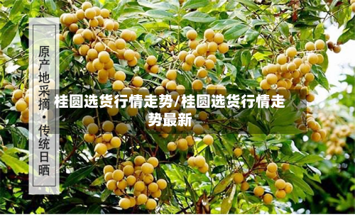 桂圆选货行情走势/桂圆选货行情走势最新