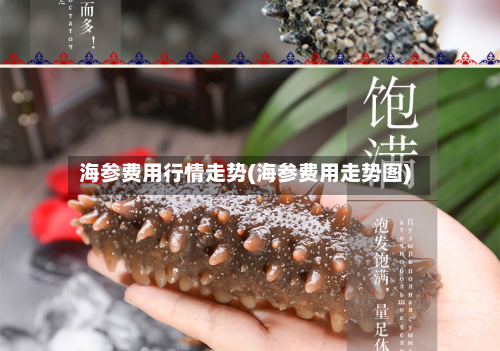 海参费用行情走势(海参费用走势图)-第2张图片