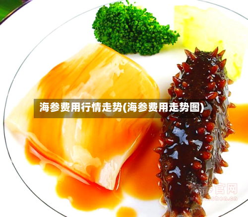 海参费用行情走势(海参费用走势图)