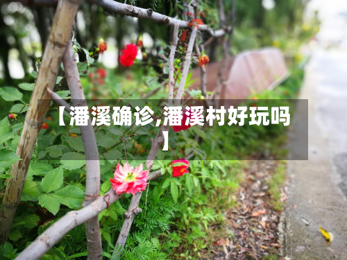 【潘溪确诊,潘溪村好玩吗】