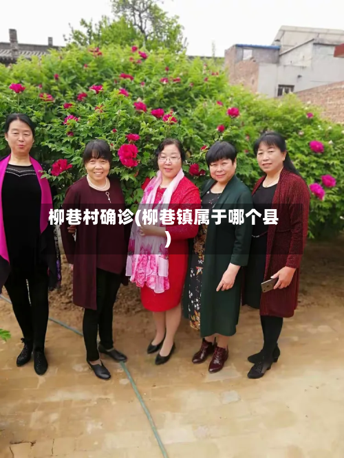 柳巷村确诊(柳巷镇属于哪个县)