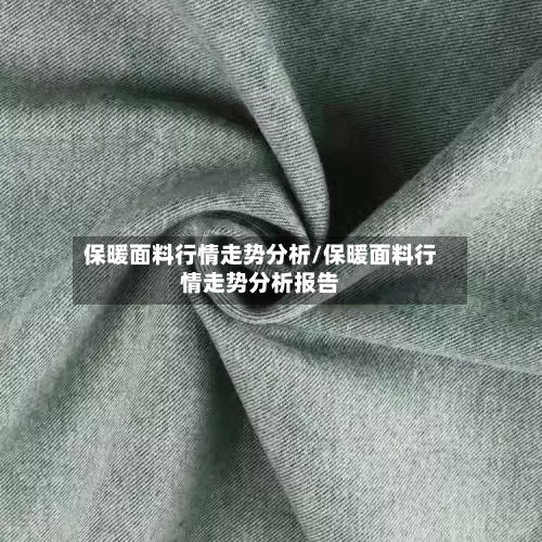 保暖面料行情走势分析/保暖面料行情走势分析报告-第2张图片