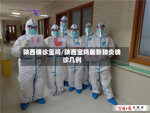 陕西确诊宝鸡/陕西宝鸡最新肺炎确诊几例
