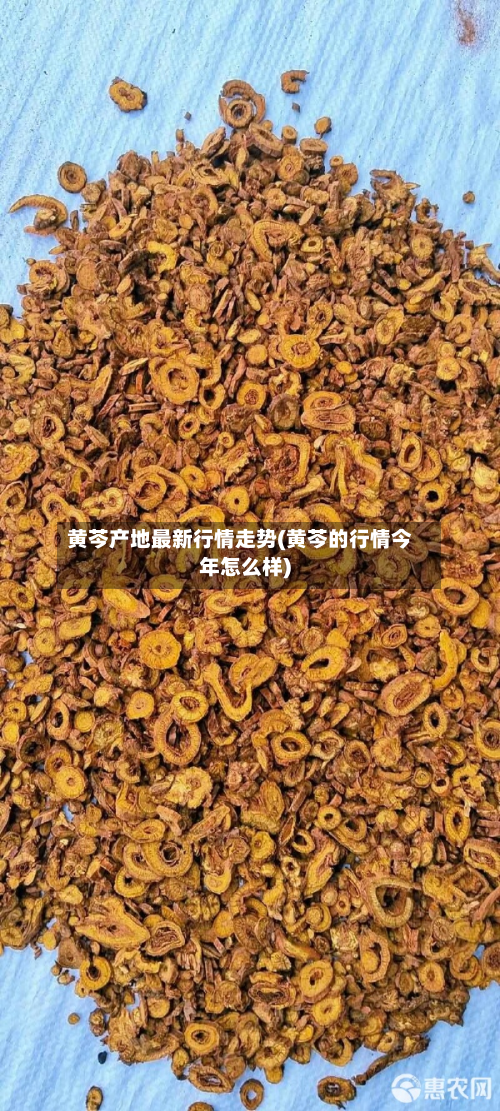 黄芩产地最新行情走势(黄芩的行情今年怎么样)-第2张图片