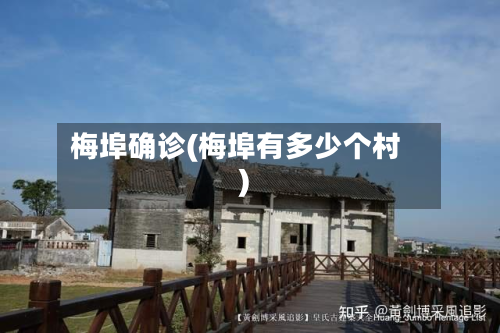 梅埠确诊(梅埠有多少个村)-第2张图片