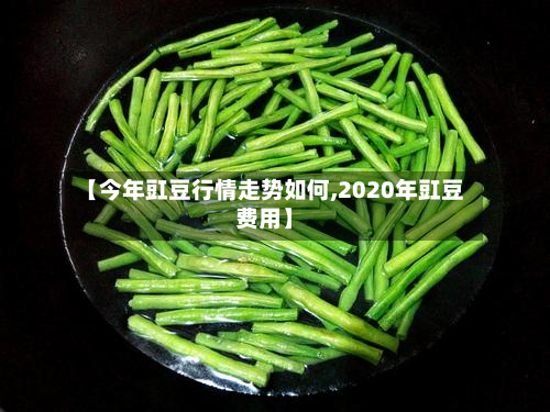 【今年豇豆行情走势如何,2020年豇豆费用】