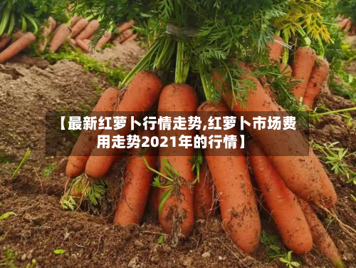 【最新红萝卜行情走势,红萝卜市场费用走势2021年的行情】-第2张图片