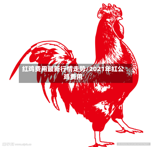 红鸡费用最新行情走势/2021年红公鸡费用