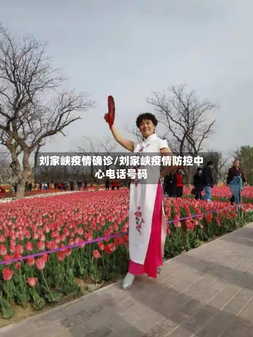 刘家峡疫情确诊/刘家峡疫情防控中心电话号码-第3张图片