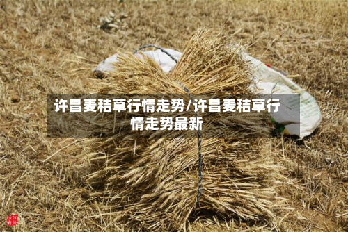 许昌麦秸草行情走势/许昌麦秸草行情走势最新-第3张图片