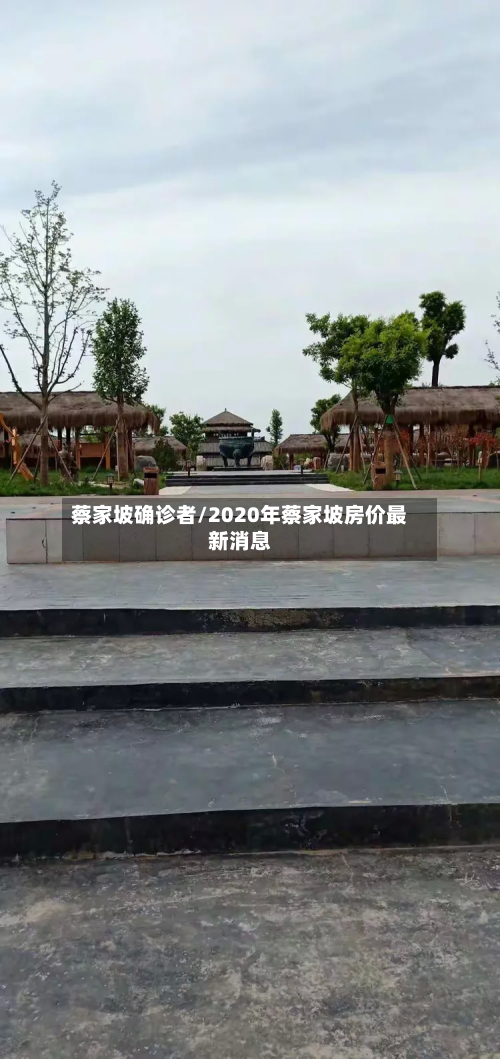蔡家坡确诊者/2020年蔡家坡房价最新消息-第3张图片