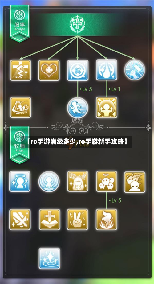 【ro手游满级多少,ro手游新手攻略】