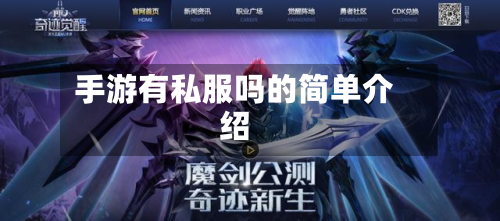 手游有私服吗的简单介绍-第2张图片