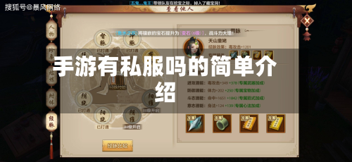 手游有私服吗的简单介绍-第3张图片