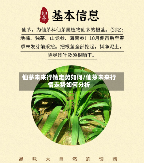 仙茅未来行情走势如何/仙茅未来行情走势如何分析-第2张图片