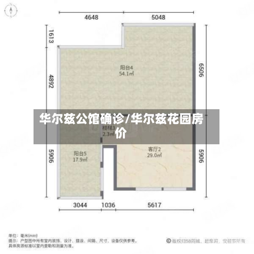 华尔兹公馆确诊/华尔兹花园房价-第2张图片