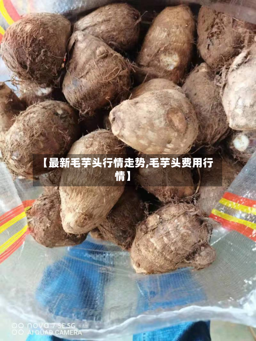 【最新毛芋头行情走势,毛芋头费用行情】