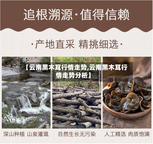 【云南黑木耳行情走势,云南黑木耳行情走势分析】