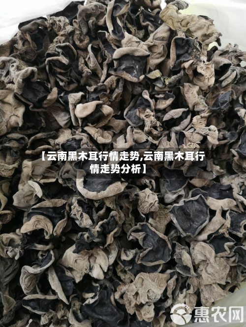 【云南黑木耳行情走势,云南黑木耳行情走势分析】-第2张图片
