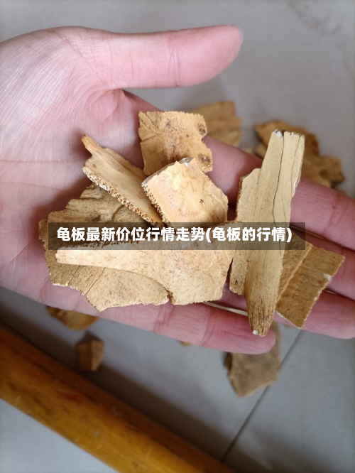 龟板最新价位行情走势(龟板的行情)-第2张图片