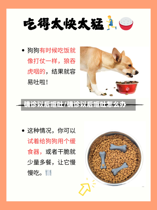 确诊以后呕吐/确诊以后呕吐怎么办