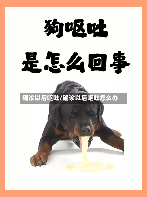 确诊以后呕吐/确诊以后呕吐怎么办-第2张图片
