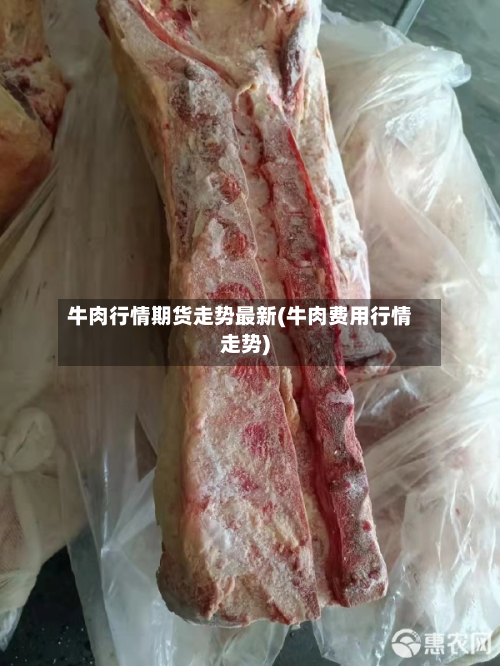 牛肉行情期货走势最新(牛肉费用行情走势)-第2张图片