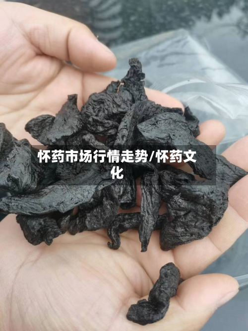 怀药市场行情走势/怀药文化-第2张图片