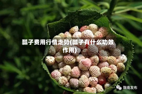 瓢子费用行情走势(瓢子有什么功效作用)