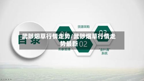 武陟烟草行情走势/武陟烟草行情走势最新