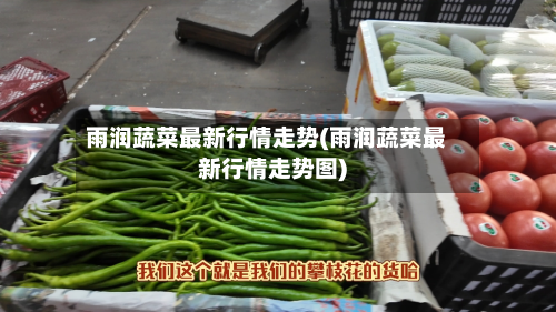 雨润蔬菜最新行情走势(雨润蔬菜最新行情走势图)