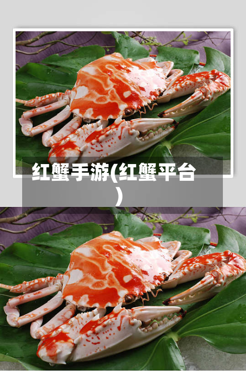 红蟹手游(红蟹平台)