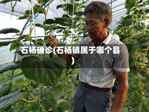石杨确诊(石杨镇属于哪个县)-第2张图片
