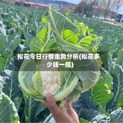 松花今日行情走势分析(松花多少钱一瓶)