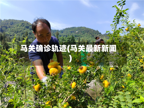 马关确诊轨迹(马关最新新闻)