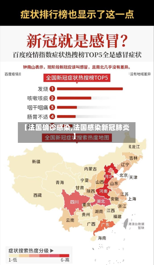 【法国确诊感染,法国感染新冠肺炎】-第3张图片