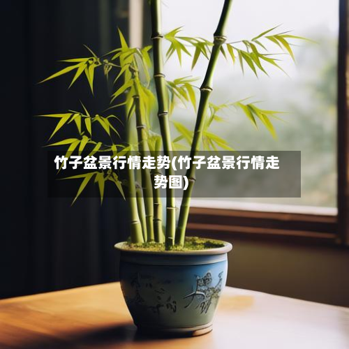竹子盆景行情走势(竹子盆景行情走势图)