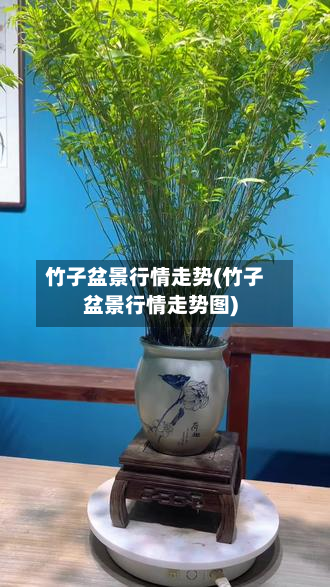 竹子盆景行情走势(竹子盆景行情走势图)-第2张图片