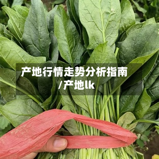 产地行情走势分析指南/产地lk