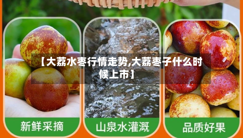 【大荔水枣行情走势,大荔枣子什么时候上市】