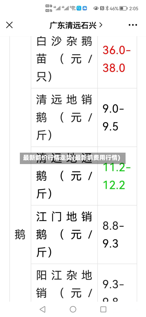 最新鹅价行情走势(最新鹅费用行情)-第2张图片