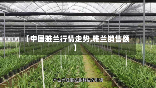 【中国雅兰行情走势,雅兰销售额】-第2张图片