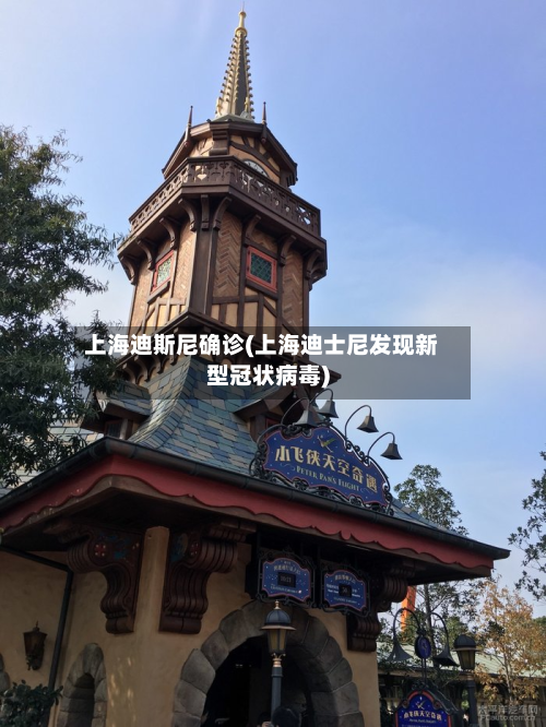 上海迪斯尼确诊(上海迪士尼发现新型冠状病毒)-第2张图片
