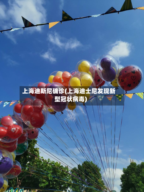 上海迪斯尼确诊(上海迪士尼发现新型冠状病毒)