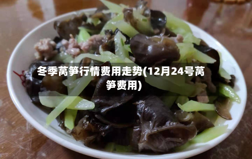 冬季莴笋行情费用走势(12月24号莴笋费用)