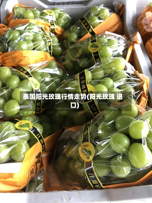泰国阳光玫瑰行情走势(阳光玫瑰 进口)-第3张图片