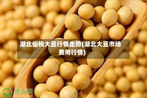湖北仙桃大豆行情走势(湖北大豆市场费用行情)