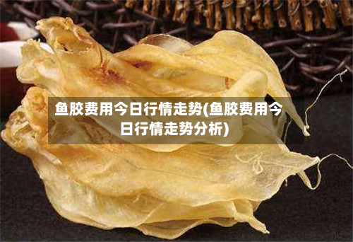鱼胶费用今日行情走势(鱼胶费用今日行情走势分析)-第2张图片