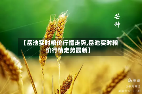 【岳池实时粮价行情走势,岳池实时粮价行情走势最新】-第2张图片