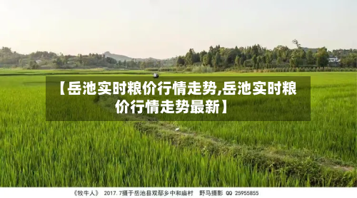 【岳池实时粮价行情走势,岳池实时粮价行情走势最新】